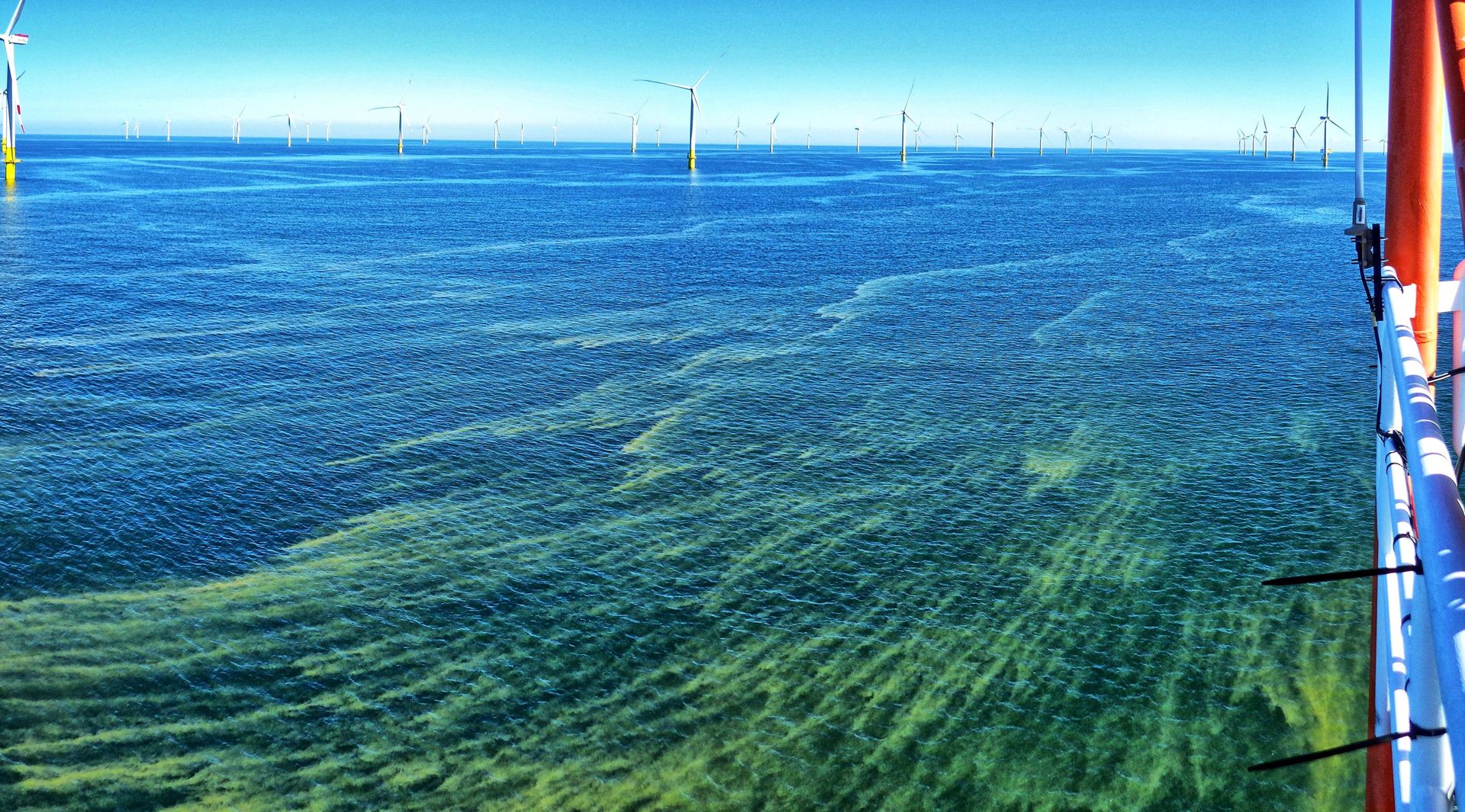 Blaualgenblüte auf der Ostsee